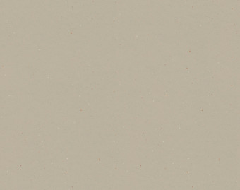 [1001111112_15] Surestep original - 172312 warm mortar